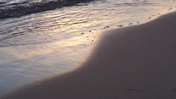 Vågorna tvätt på stranden på stranden — Stockvideo