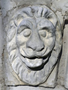 bir aslan Başkanı kısma