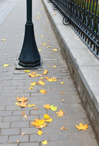 Ciudad calle de en otoño — Foto de Stock