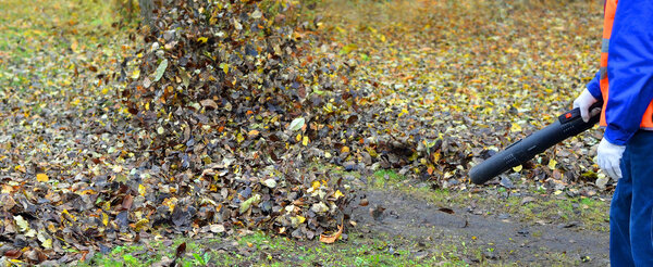 Cleaning autumn leaves 4. The worker in a uniform clears a path.