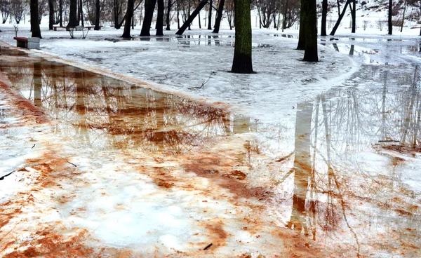 Landscape. Thaw. The intersection of two paths in the gardens. — Stock Photo, Image