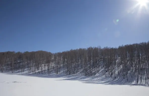 山の冬をバーチします。 — ストック写真