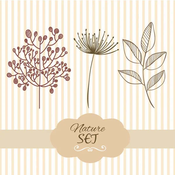 Botanik brunch doğa öğeleri ayarlayın. Elle çizilmiş illüstrasyon
