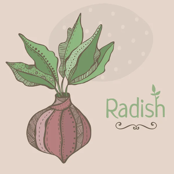 Ilustração vetorial de rabanete. Legumes coloridos desenhados à mão — Vetor de Stock