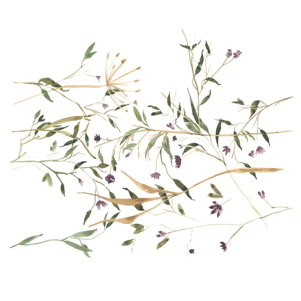 柔和的水彩手绘自然早午餐和叶 — 图库矢量图片