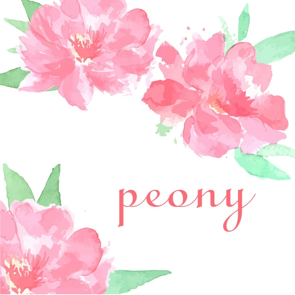 Acuarela mano dibujada peonía rosa — Archivo Imágenes Vectoriales