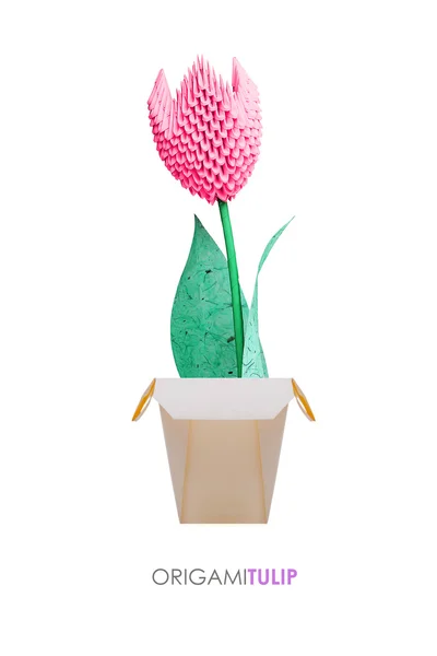 Origami tulip in a pot — Stock Photo, Image