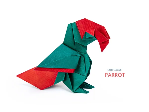 Origami macaw parrot — Stock Photo, Image