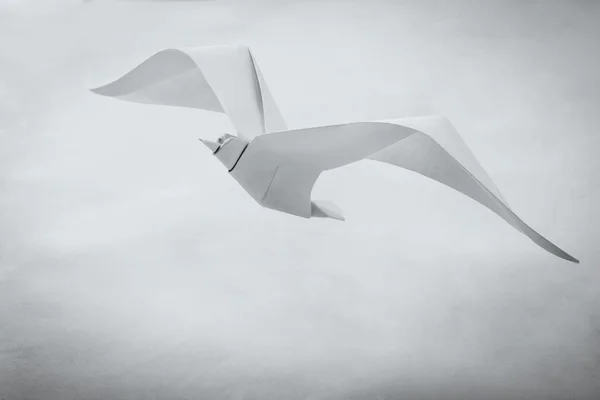 Origami papír Racek pták — Stock fotografie