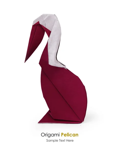 Origami pelican — Stock Photo, Image