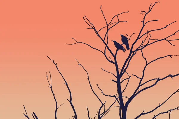 Baumsilhouette mit einer Krähe — Stockfoto