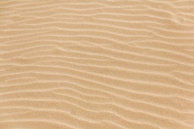 kum dokulu arka plan