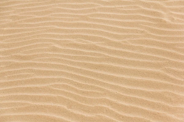 Zand gestructureerde achtergrond — Stockfoto