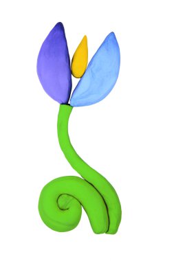 Hamuru mavi kardelen