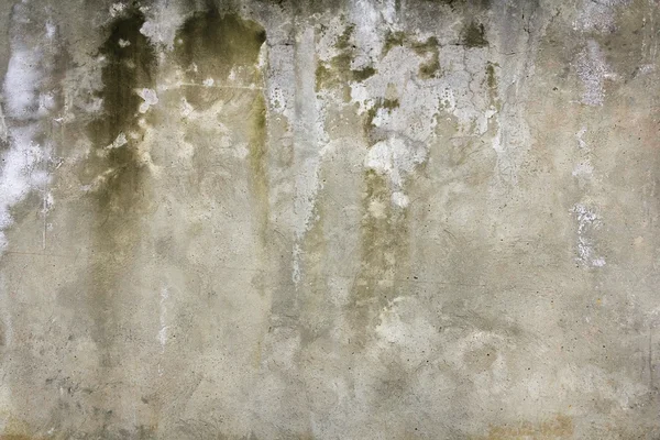 Stara ściana cementowa — Zdjęcie stockowe