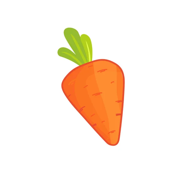 Ilustración del vector de zanahoria — Vector de stock