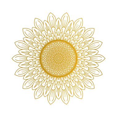 Ayçiçeği illüstrasyon vektör