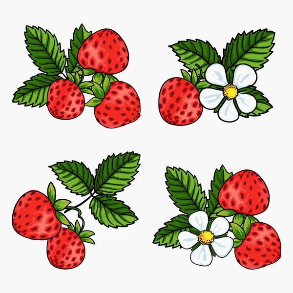 Beautiful strawberries composition — Stock Vector