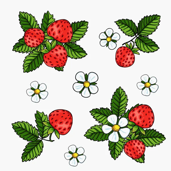 Beautiful strawberries composition — Stock Vector