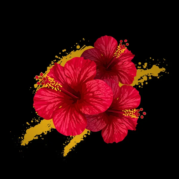 Vector flor de hibisco. tarjeta de invitación . — Archivo Imágenes Vectoriales