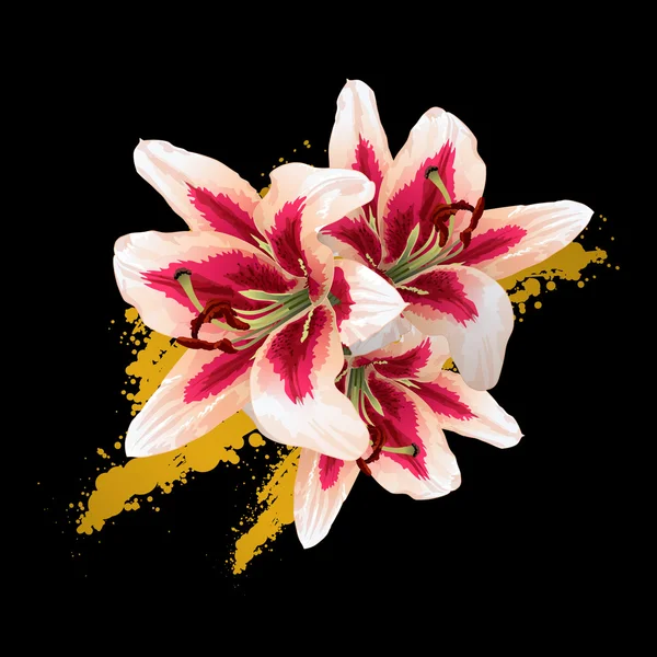 Vector lily illustration. — Stock Vector