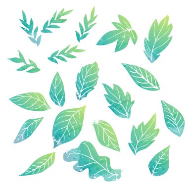 suluboya yaprakları seti