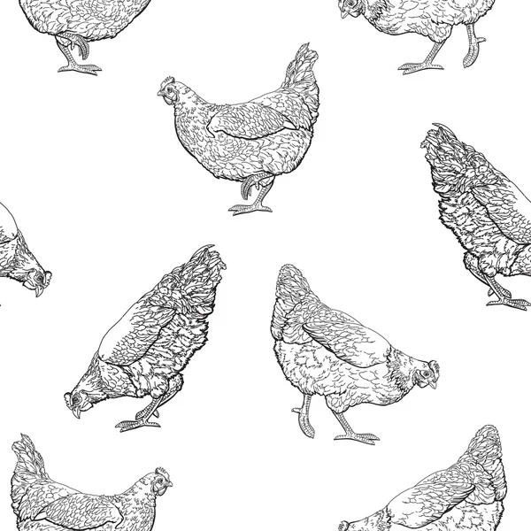 Poule dessinée main — Image vectorielle