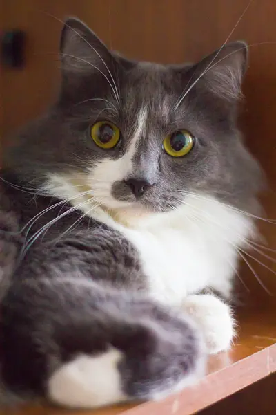 ACAT