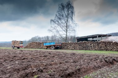 Odun römork üzerinde