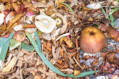 Mutfak Atık Kompost