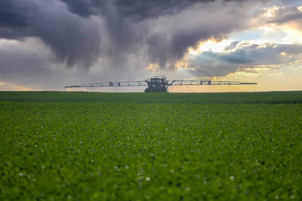 Agriculteur Pulvérisation Pesticide Dans Son Champ — Photo