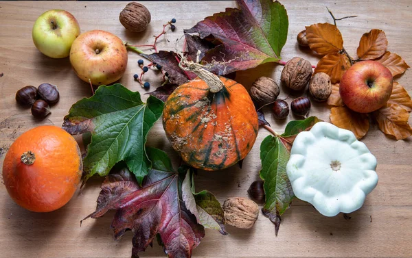 Autumn Theme Vegetables Fall Colors — Stock Photo, Image