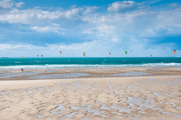 Kite and windsurfing — Stock Photo, Image