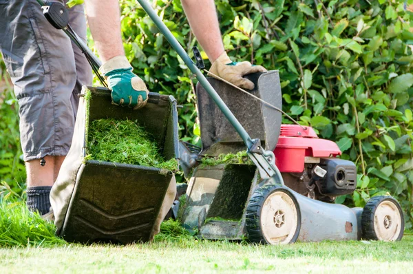 Lawn mowing — Stock Photo, Image