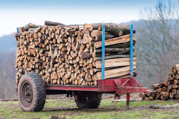 Firewood on trailer