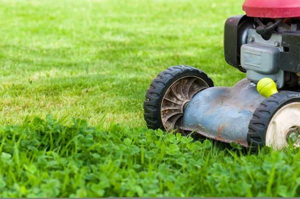 Lawn mowing — Stock Photo, Image