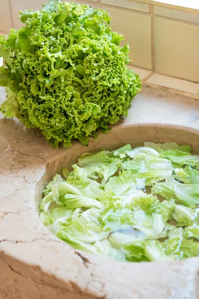Mencuci sayuran segar — Stok Foto