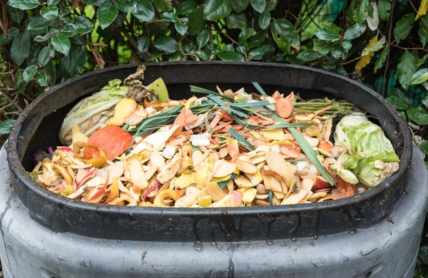 Composting the Kitchen Waste in a plastic compost bin — Stock Photo, Image