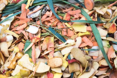 mutfak atık kompost