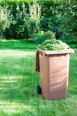 Çim kupürleri plastik bir kap içinde