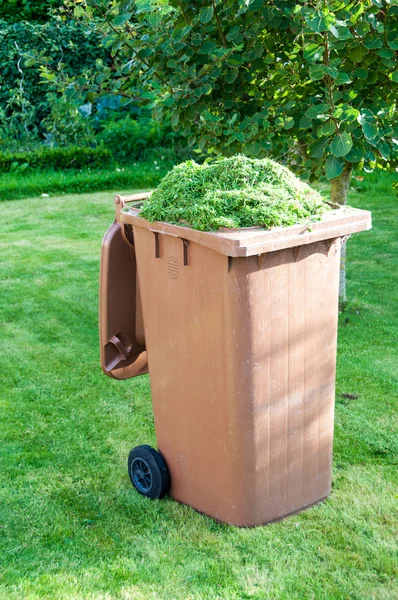 Grass cuttings in a plastic container — Stock Photo, Image