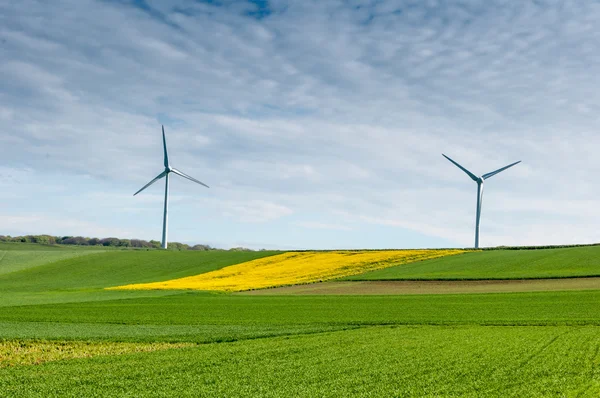 Champ de colza avec éolienne — Photo