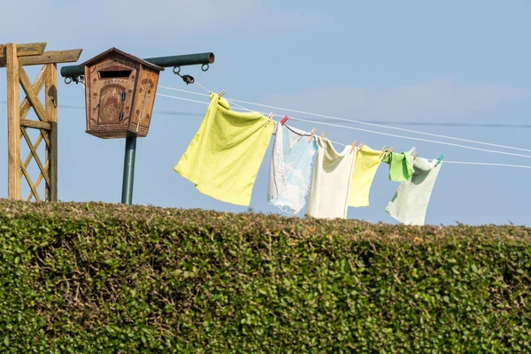 Ropa colgada para secar en un jardín — Foto de Stock