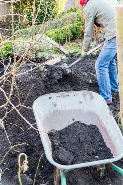 Arbeit im Garten — Stockfoto