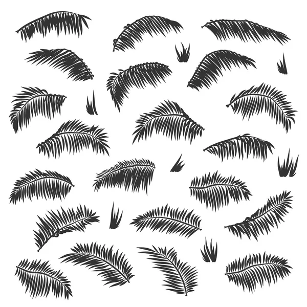 Vector silhouette palm leaves set isolated — Stock Vector