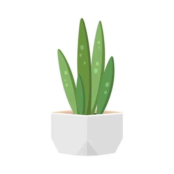 Cactus en sappig in pot binnenlandse kleurrijke cartoon vector illustratie — Stockvector