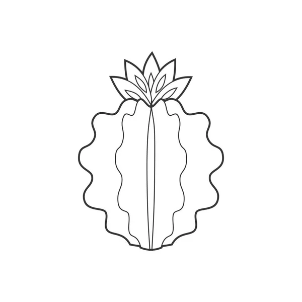 Начерки кактуса і соковитих рослин Векторні ілюстрації — стоковий вектор
