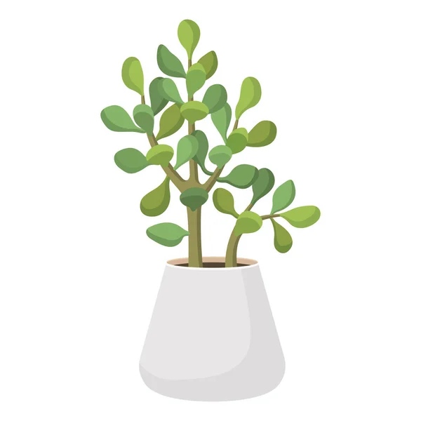 Kaktus och suckulent i potten inhemska färgglada tecknad vektor illustration — Stock vektor