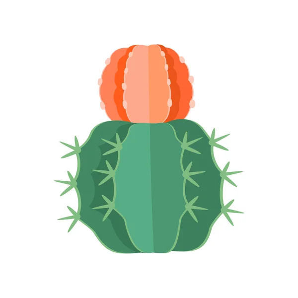 Cactus et illustration vectorielle colorée succulente de dessin animé — Image vectorielle