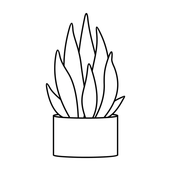 Cactus y suculenta línea estilo vector ilustración — Archivo Imágenes Vectoriales